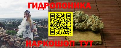 крисы Ставрополь