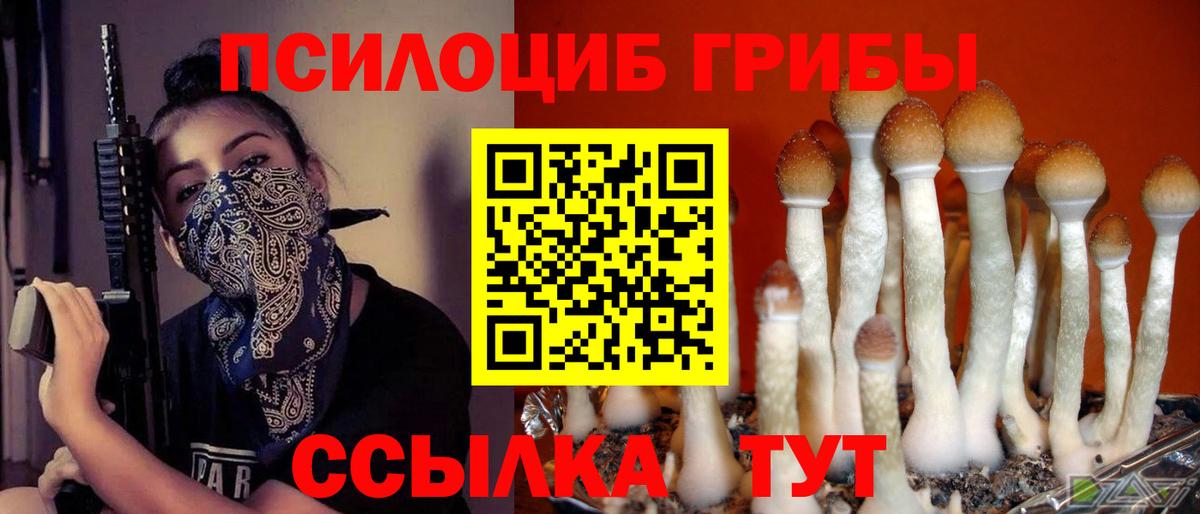 Галлюциногенные грибы MAGIC MUSHROOMS  Вход с VPN  Орехово-Зуево 